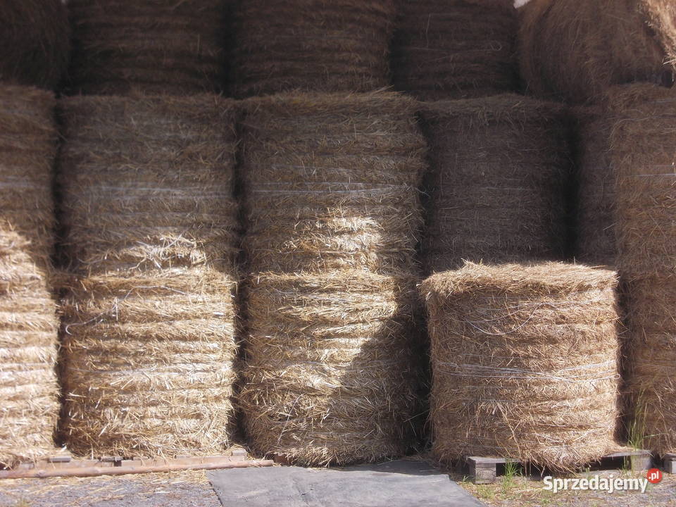 Słoma baloty 120x120 Transport Żarska Wieś