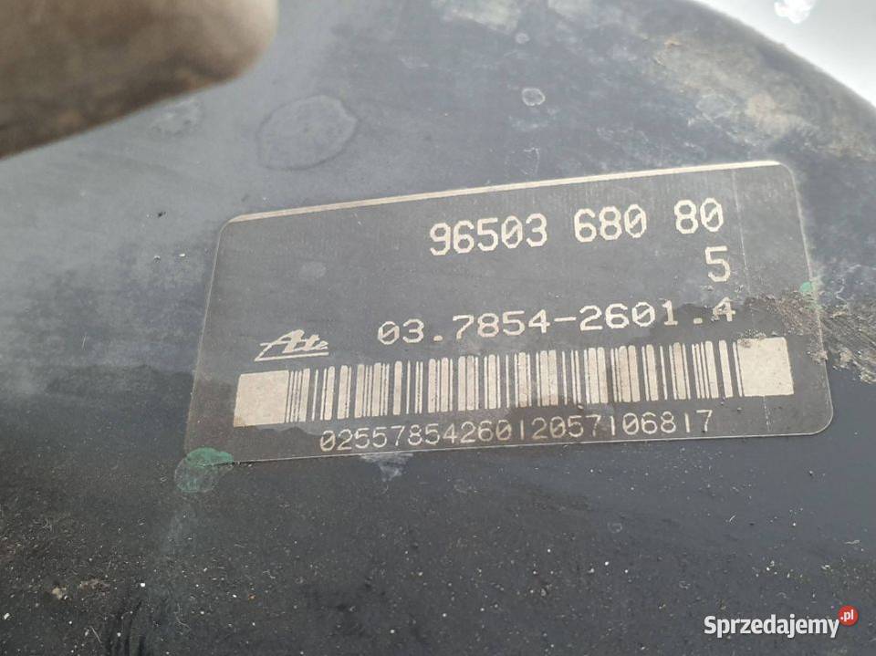 SERWO HAMULCOWE PEUGEOT 206 9650368080 Pozostałe Lipno