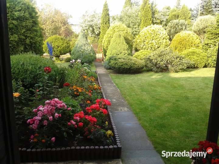 Sprzeda prawo do działki ROD Kajetany mazowieckie