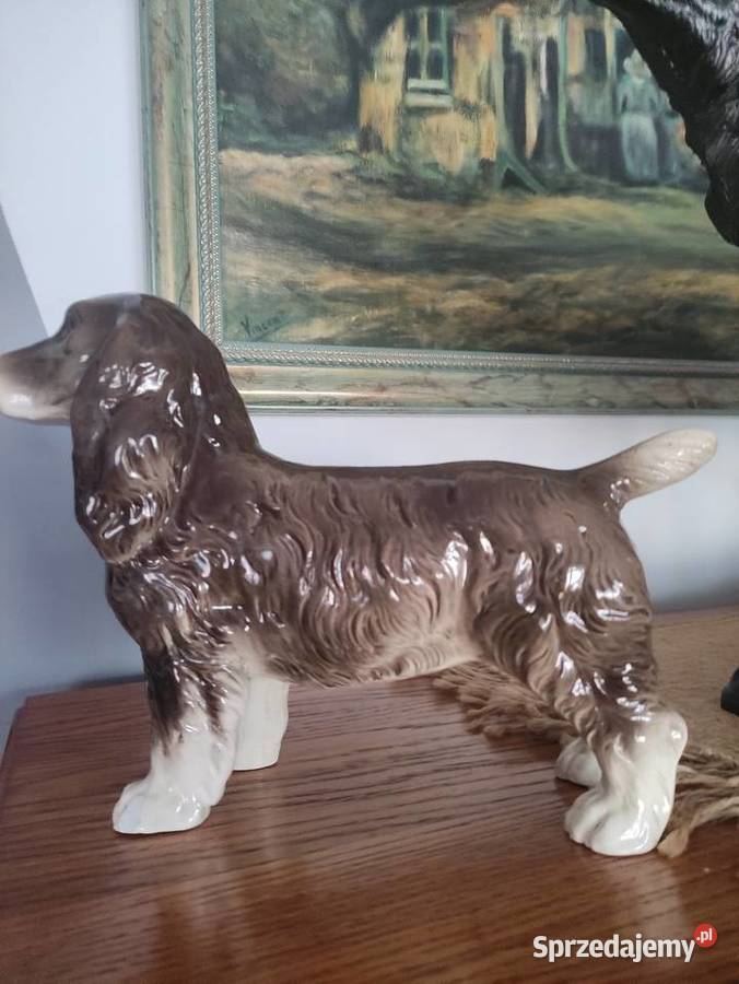 Ceramiczna figura Cocker Spaniel Cortendorf Janów Lubelski sprzedam
