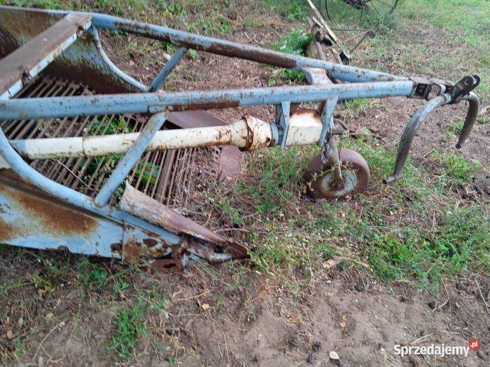 Kopaczka elewatorowa dwurzędowa Niewierz