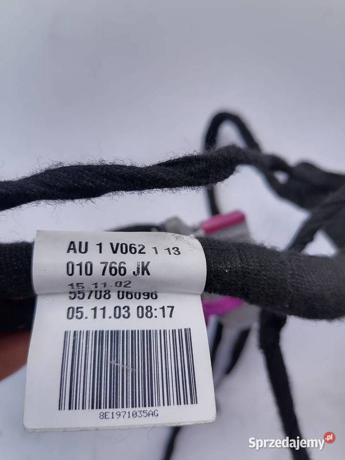 Audi A4 B6 B7 wiązka drzwi LP lewy przód Szczerbice