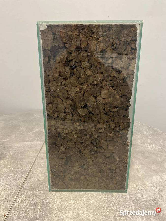 Terrarium 202530 Sosnowiec