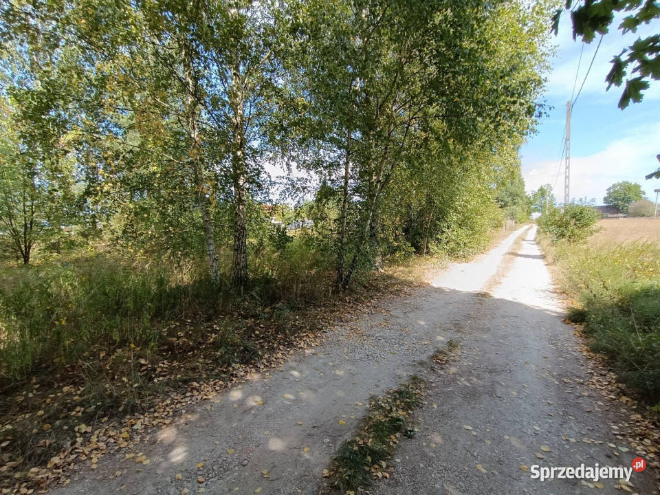 Działka Bilcza Świętokrzyska 860m2 41m