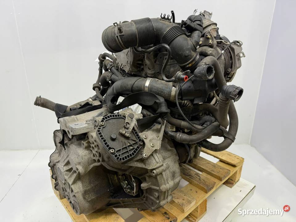 SILNIK CAY CAYD VW Caddy III IV 16 TDI 102 lubelskie Chełm