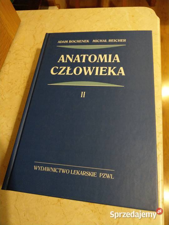 Anatomia człowieka autorzy Adam Bochenek Michał Książki naukowe i popularnonaukowe Cieszyn