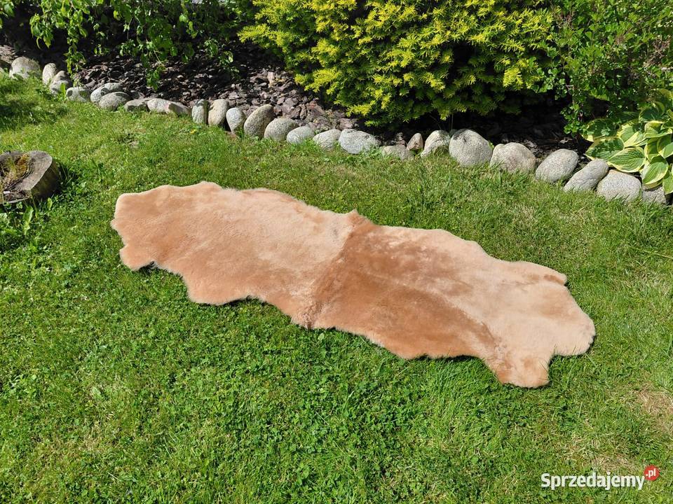 Dywan ze Skóry Naturalnej Krótka Wełna 3 Kolory Szaflary sprzedam