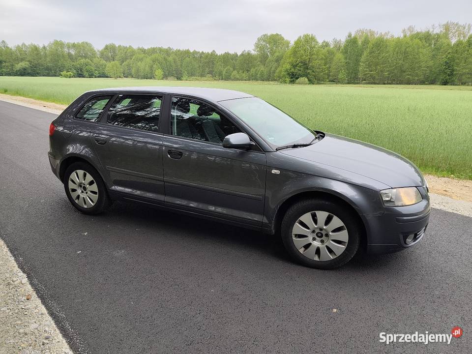 Audi a3 8P 20TDI z Niemiec bluetooth Dzbanki