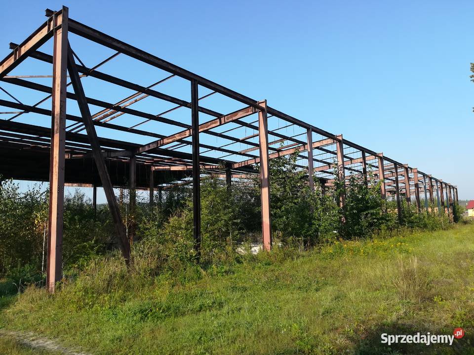 konstrukcja hali 235 x 102 x 7386 2400 m2 Tłuchowo