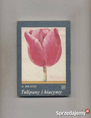 Tulipany i hiacynty Pozostałe