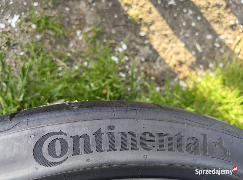 Opony 2753019 Pirelli Pzero 2019 r i Continental Inczew
