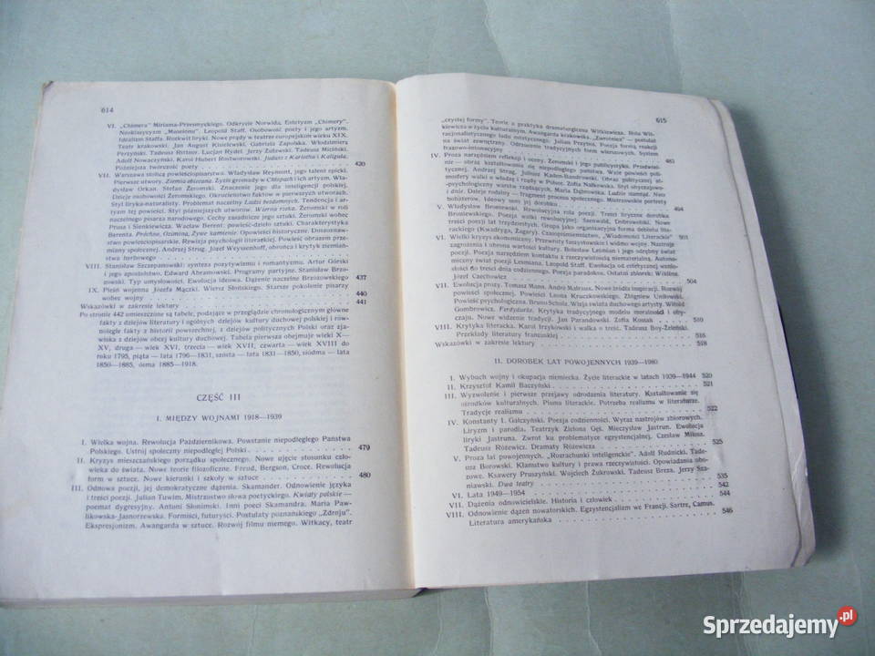 Zarys dziejów literatury polskiej Kleiner Okresy literaturoznawstwo dolnośląskie Oborniki Śląskie