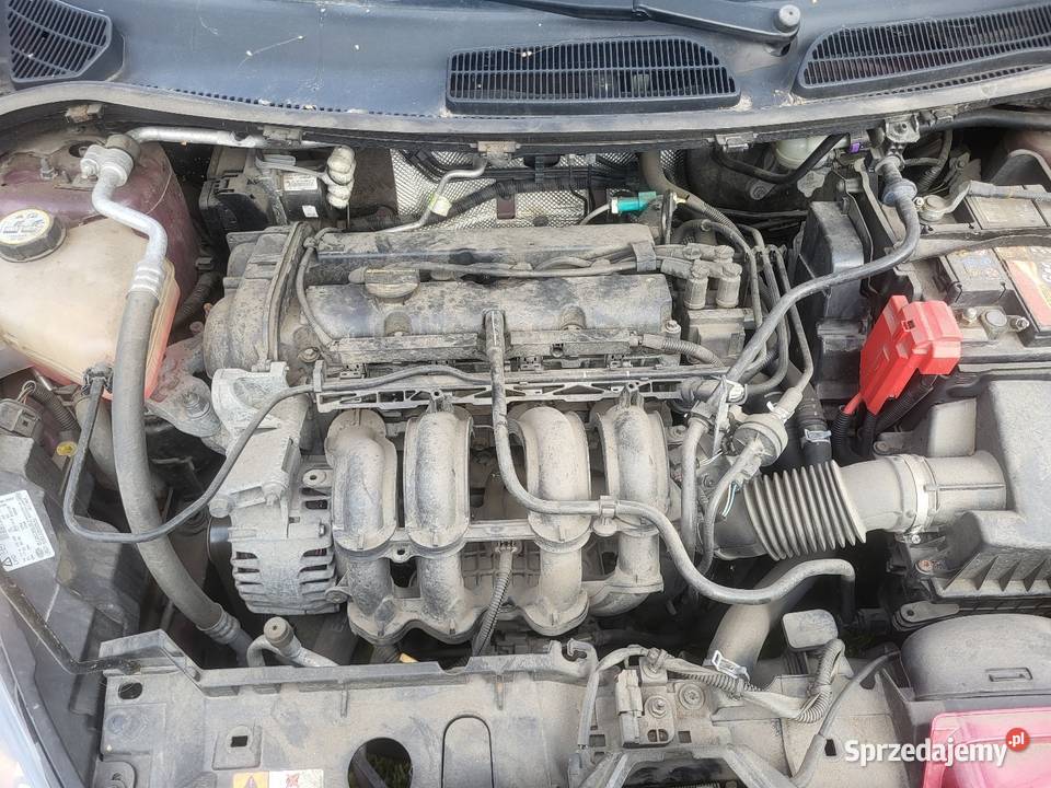 Ford Fiesta 125 Kłodzko