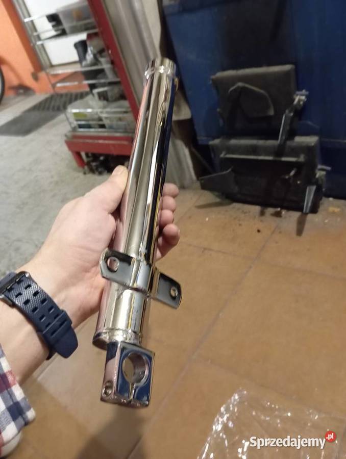 Lagi wsk dudek bąk Tłuszcz