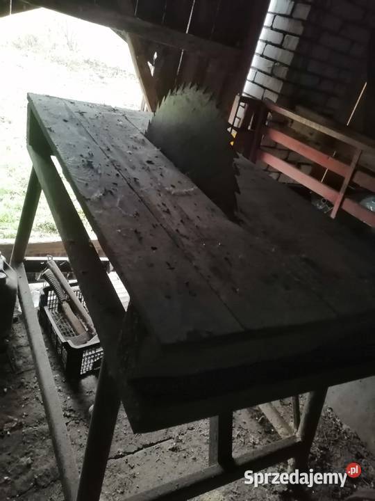 krajzega Piły tarczowe Pińczów