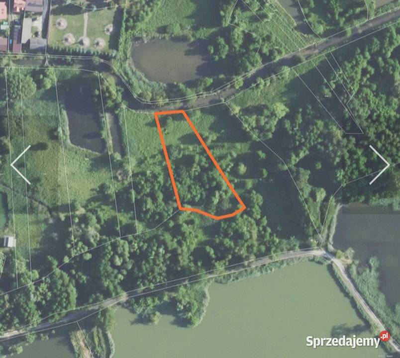 Działka w Chodlu polna Sprzedaż Chodel sprzedam