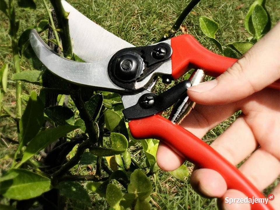 Sekator ogrodowy ręczny do gałęzi krzewów nożyce lubelskie Biała Podlaska