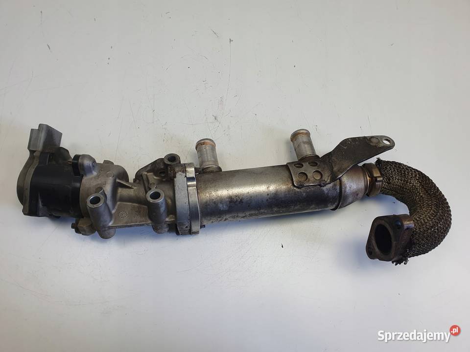 Peugeot 607 27 HDI ZAWÓR ERG chłodnica spalin osobowe Chełm