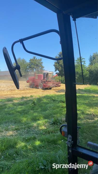 Bizon nieuszkodzony Opatów