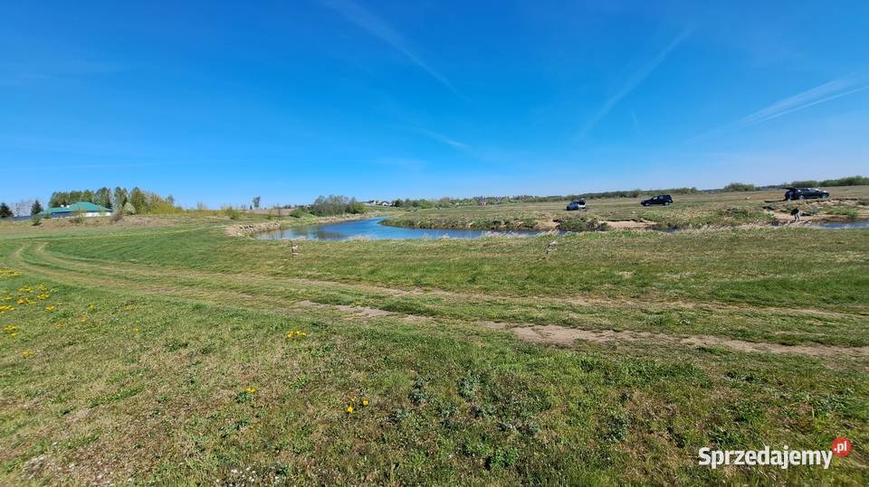 NA SPRZEDAŻ WYJĄTKOWY LAS Rzeki Narew IDEALNA