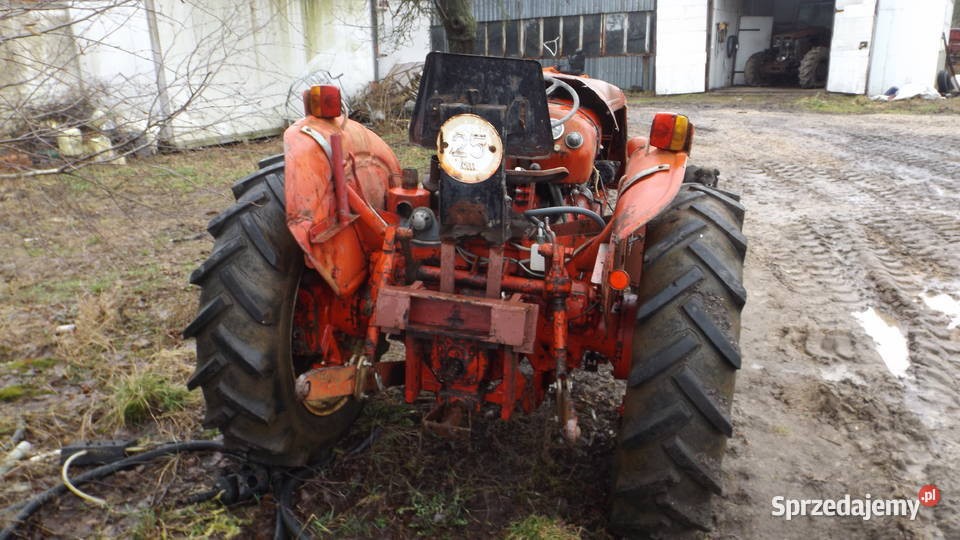 david brown 880 Ciągniki Łuków