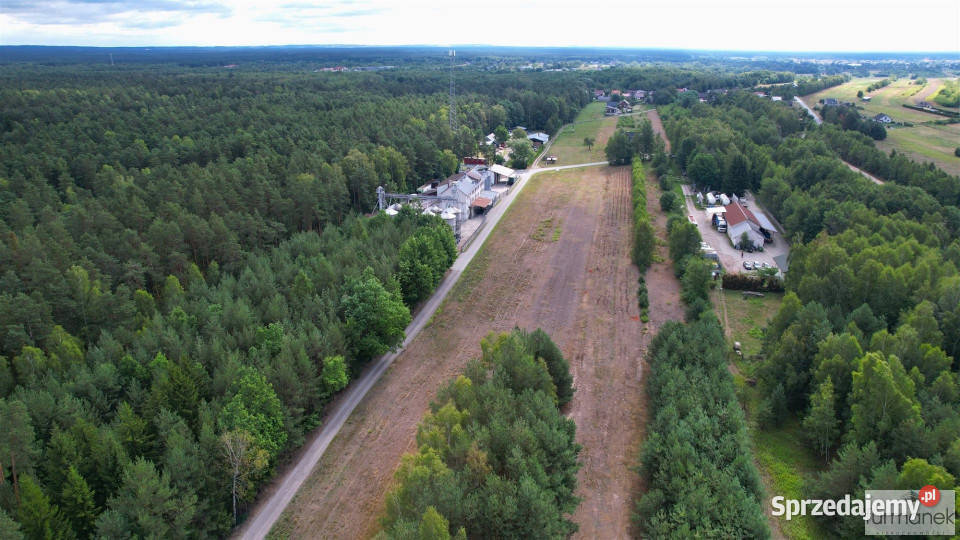 Grunt 1447m2 Dąbrowica
