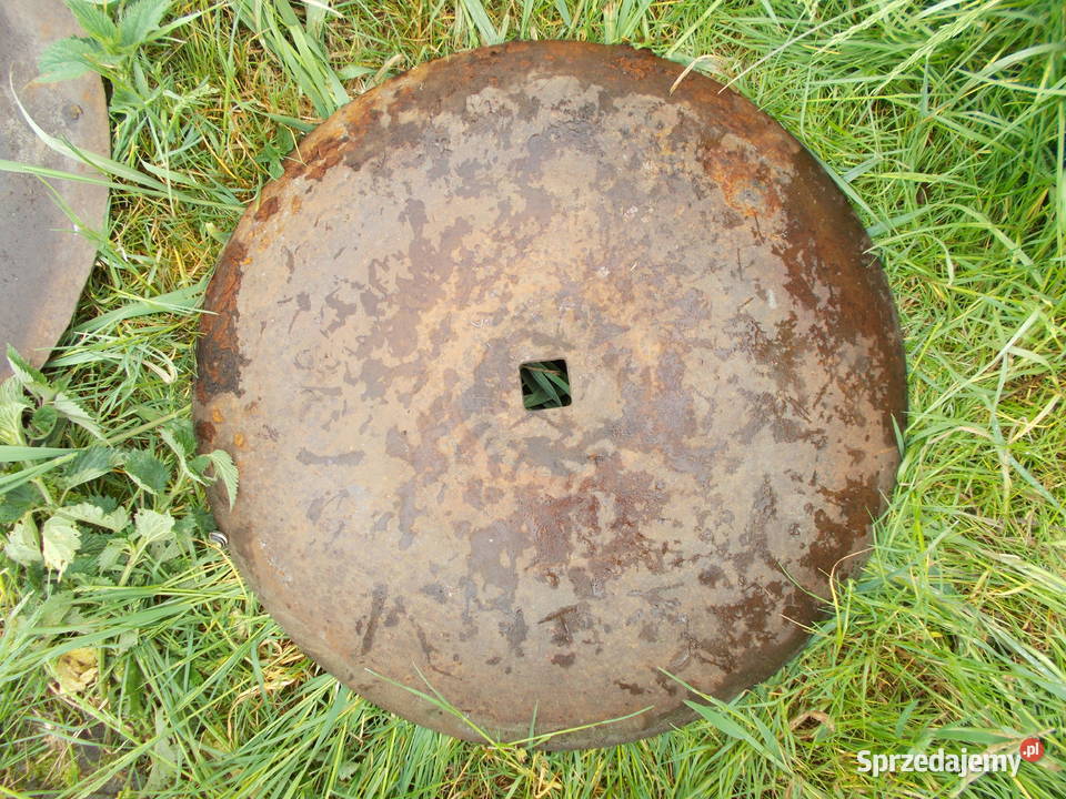 Brona Talerzowa TALERZE PEŁNE 5 Brzeg