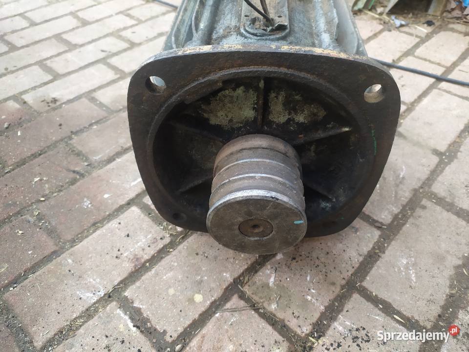 Silnik elektryczny 30 kw Pniówek