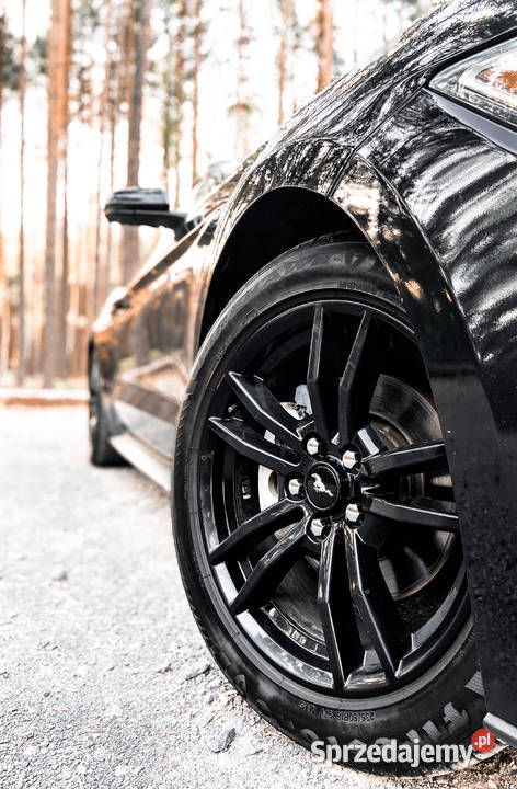 Auto Sportowy do Ślubu na wesele MUSTANG Premium Jelenia Góra