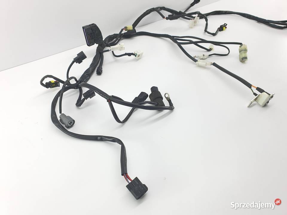 Wiazka Silnika Instalacja Wtyczka Kostka Układ elektryczny, zapłon łódzkie