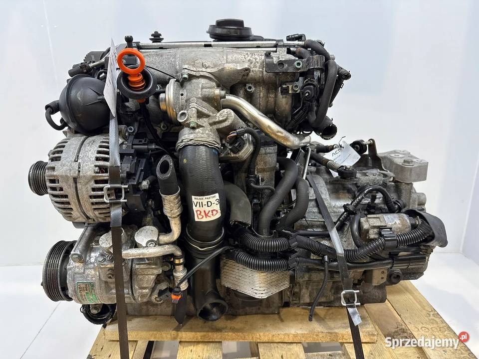 SILNIK BKD Audi A3 II 8P Seat Altea Leon II Chełm