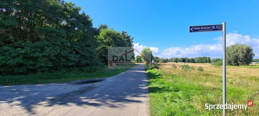 sprzedaży domu wolnostojącego 125m Kolonia