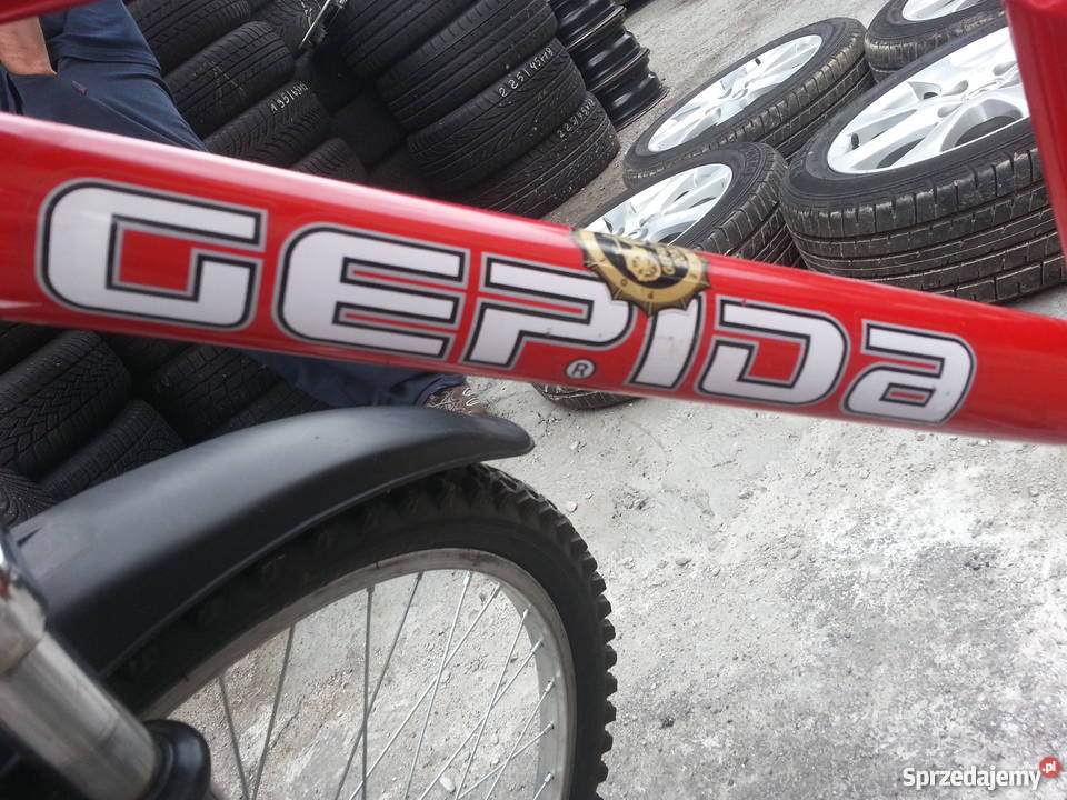 ROWER DZIECIĘCY GEPIDA GILPIL 600 24 kujawsko-pomorskie Włocławek
