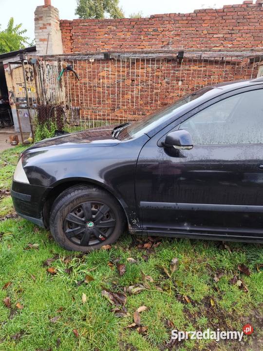 Skoda octavia II Stare Ludzicko sprzedam