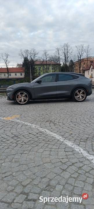 Mustang mache Jarosław sprzedam