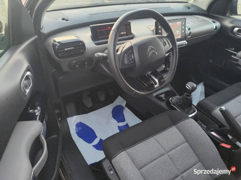 Citroen C4 Cactus Super Stan Mały Przebieg ABS Bydgoszcz