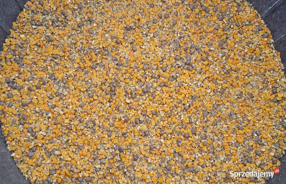 Pasza kur niosek naturalna gnieciona karma małopolskie Jodłownik