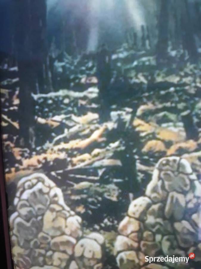 Archiwum hard rocka ARMAGEDDON Armageddon 1975 Rzeszów