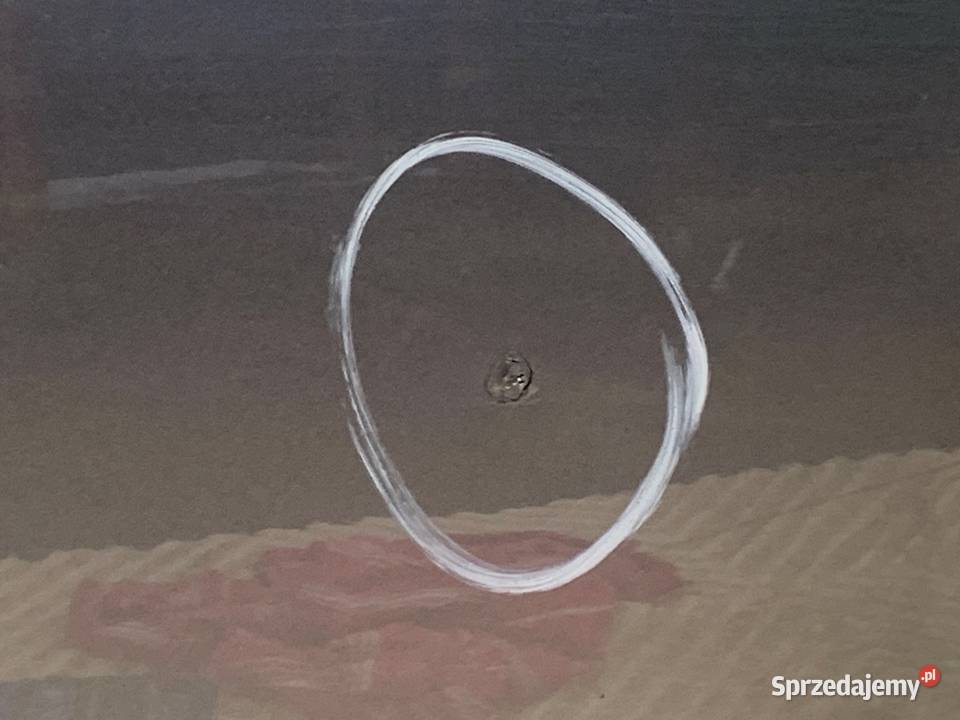 DRZWI PRAWY TYŁ BMW E84 SUV 0915 A52