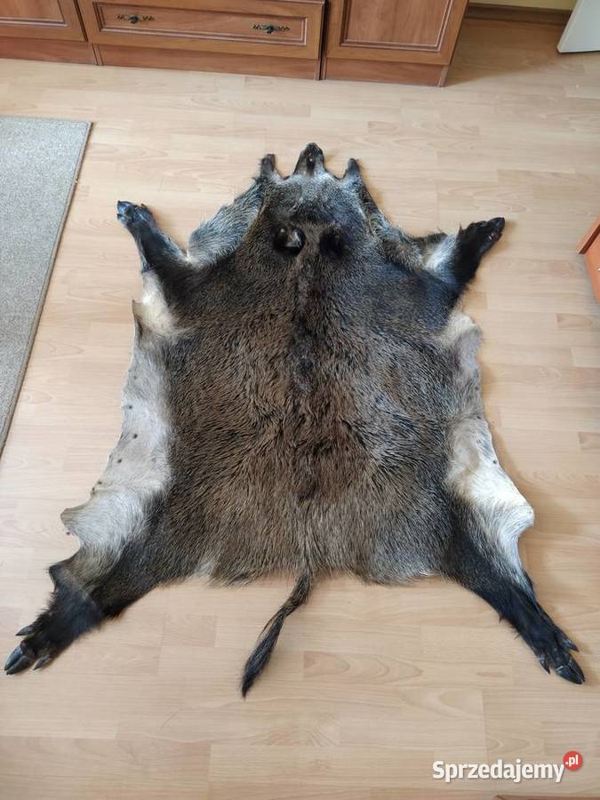 Skóra z dzika Dywany i wykładziny podkarpackie