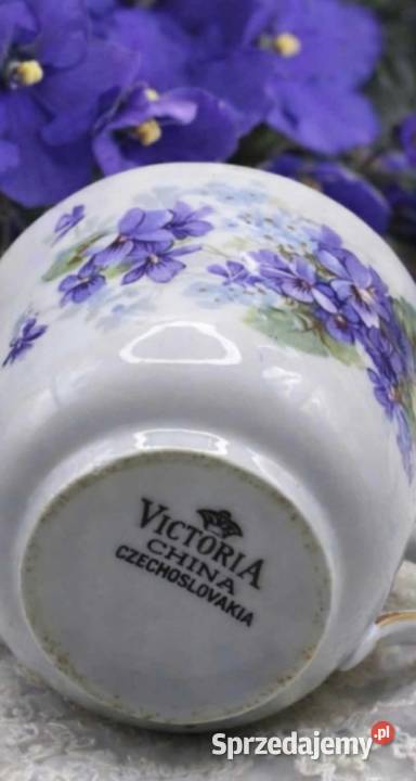 Victoria CzechosłowacjaFiolki Wiktoriańska Pabianice