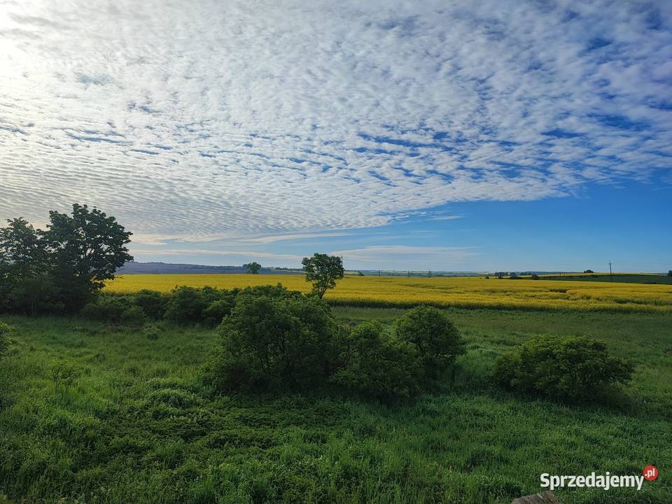 Siedlisko niedaleko BISZTYNKA 5500 m2 TANIO Grzęda