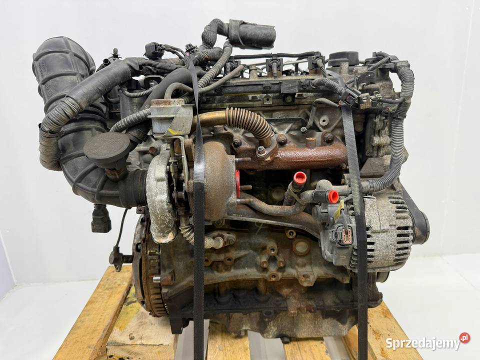 SILNIK D4FA Hyundai Accent III Getz Matrix 14 Chełm