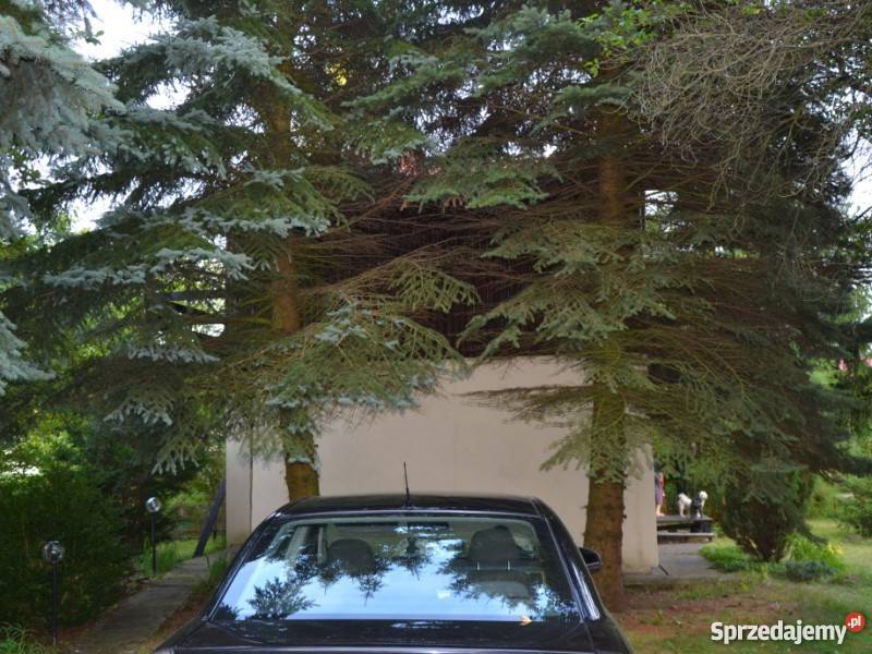 Działka rekreacyjna Bożenkowo gmOsielsko prąd Bożenkowo sprzedam