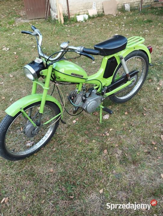 Komar zachowany w oryginalne 1980