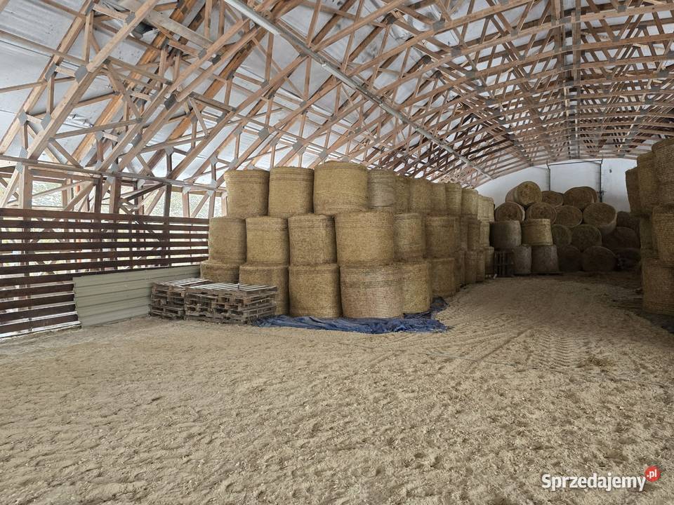 sprzedam bele siana