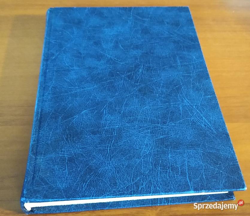 Rozbiór krytyczny Annalium Poloniae Jana