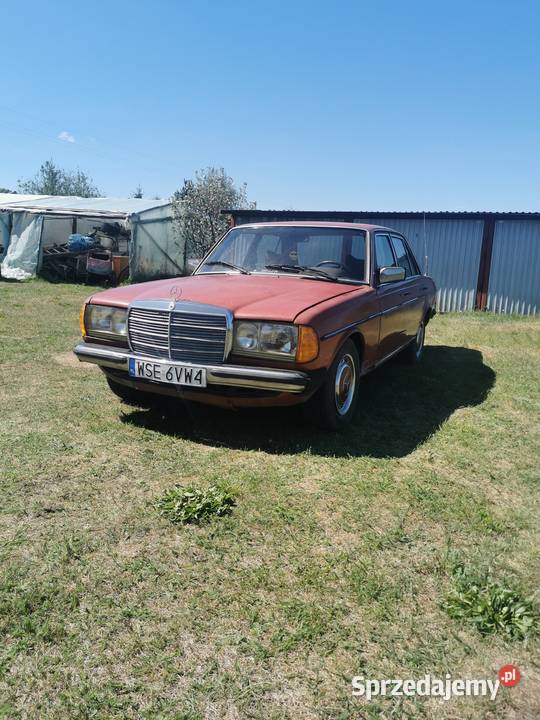 Mercedes W123 24D 72KM kujawsko-pomorskie Grudziądz
