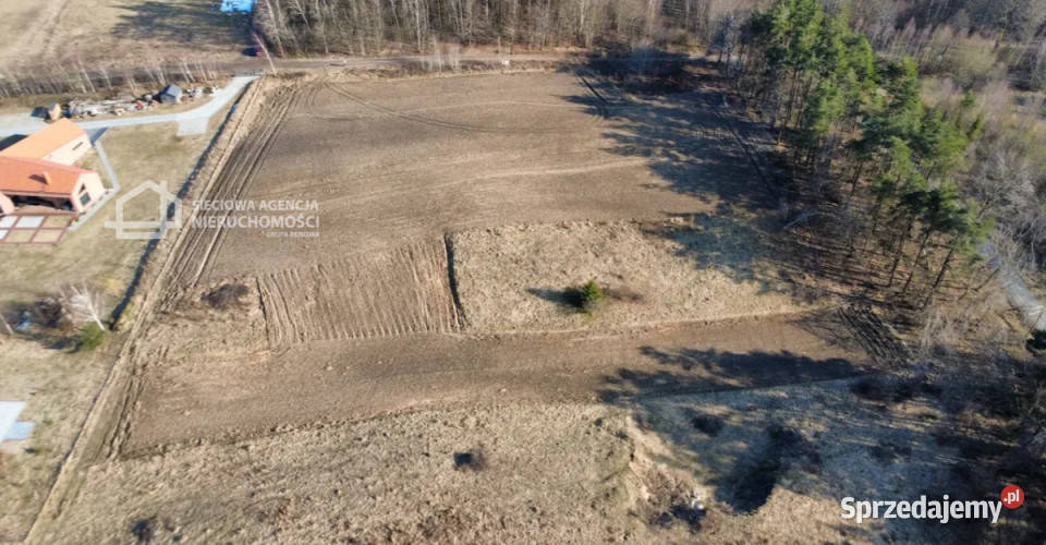 sprzedaży działki 19409m2 Michalin 150m