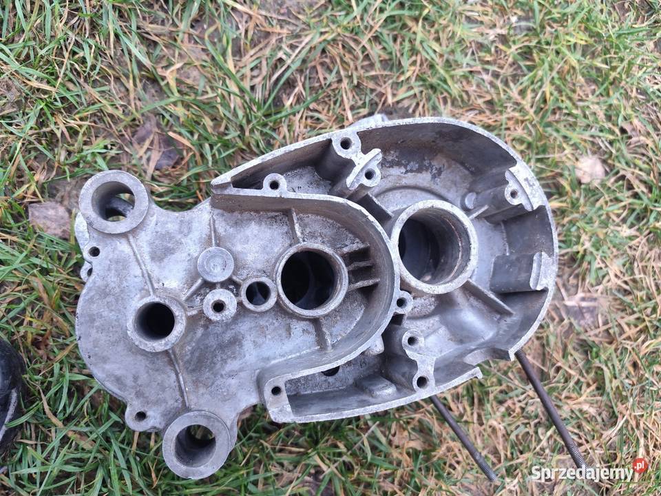 Kartery komar Łańcut